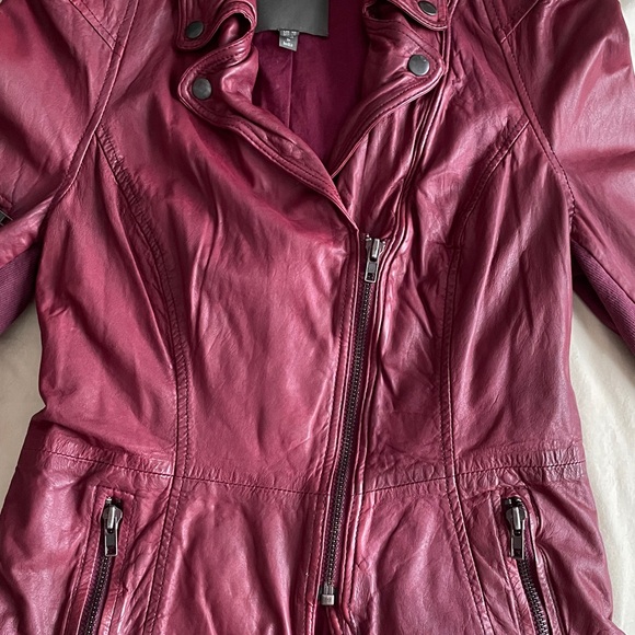 Muubaa Stunning Burgundy Leather Jacket 6 US - Picture 6 of 8